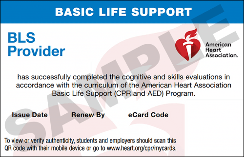 CPR Classes Houston AHA BLS CPR CPR Certification Houston