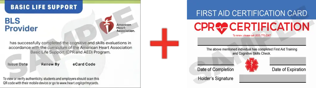 Sample American Heart Association AHA BLS CPR Card Certification and First Aid Certification Card from CPR Certification Houston