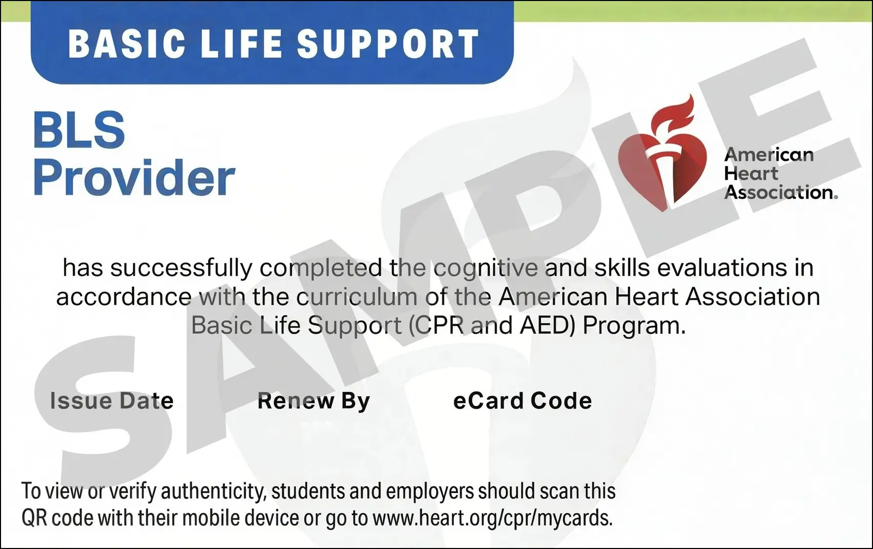 Sample American Heart Association AHA BLS CPR Card Certification from CPR Certification Houston